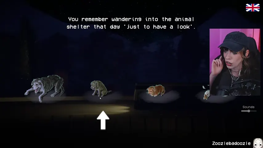 The animal-shelter memory presents the available pets for the player to choose.
